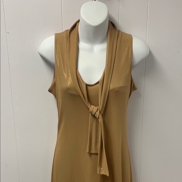 Tan Sheath Dress with Cowl Neck and Tie Front - Picture 5 of 6